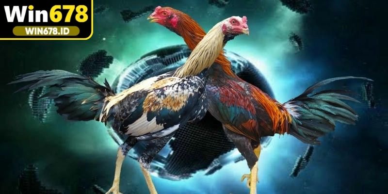 Học cách làm quen giao diện ứng dụng