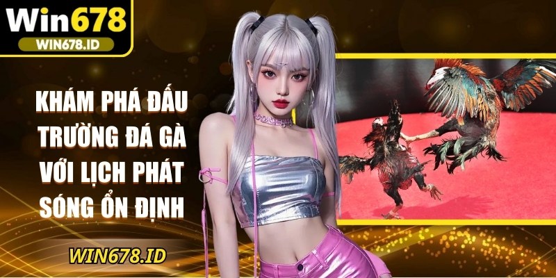 Khám phá đấu trường đá gà với lịch phát sóng ổn định